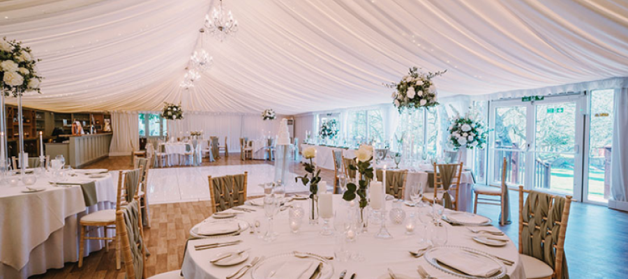 Elegance Linings.png